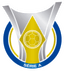 Brasileirão Serie A (Brazil) logo