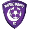 Wakiso Giants logo