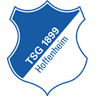 1899 Hoffenheim logo