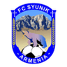 Syunik logo