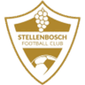 Stellenbosch logo