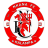 Nkana logo