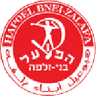 Hapoel Bnei Zalafa logo