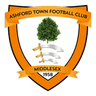 Ashford Town (Middlesex) logo