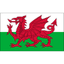 Wales logo