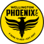 Wellington Phoenix logo